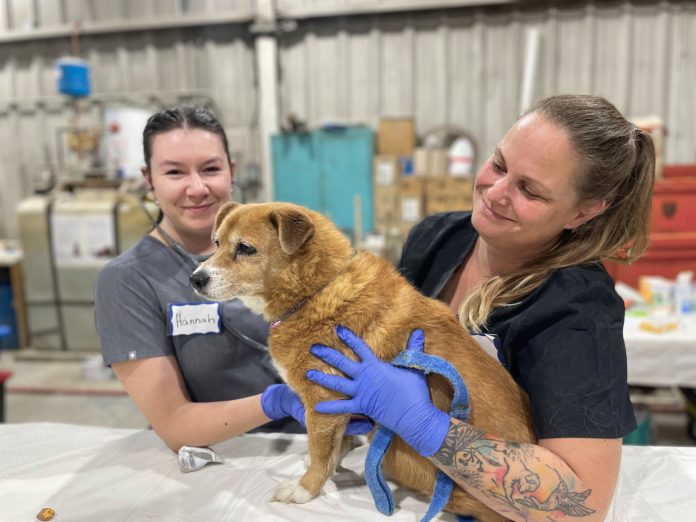 WestJet-Cargo-aids-volunteer-vet-mission-in-Nunavut-2-2048x1536