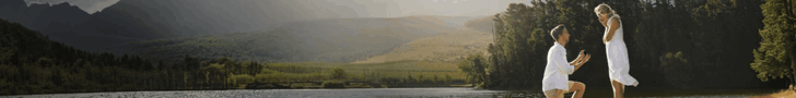 spot_img